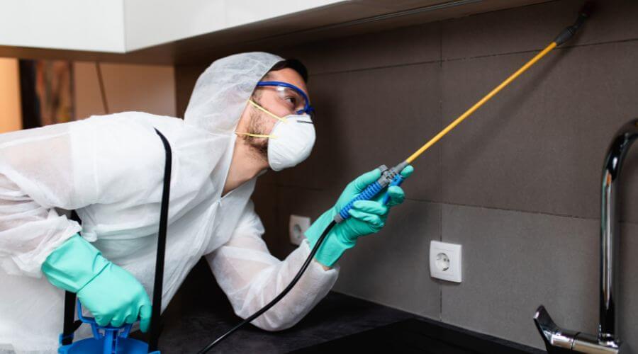 Why choose OPC Portage for organic pest control in Portage